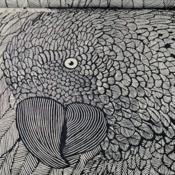 WANTED ISO Inoui Editions Parrot Wing Fouta Towel ANY COLOR Bird - Picture 3 of 3